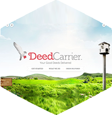 business website