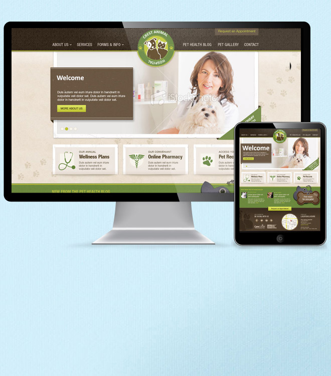 Web Design