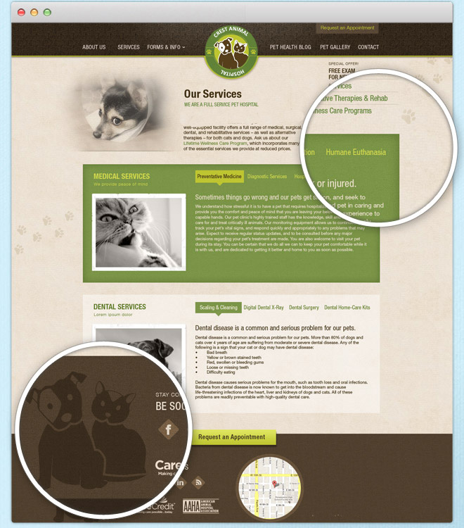 Web Design