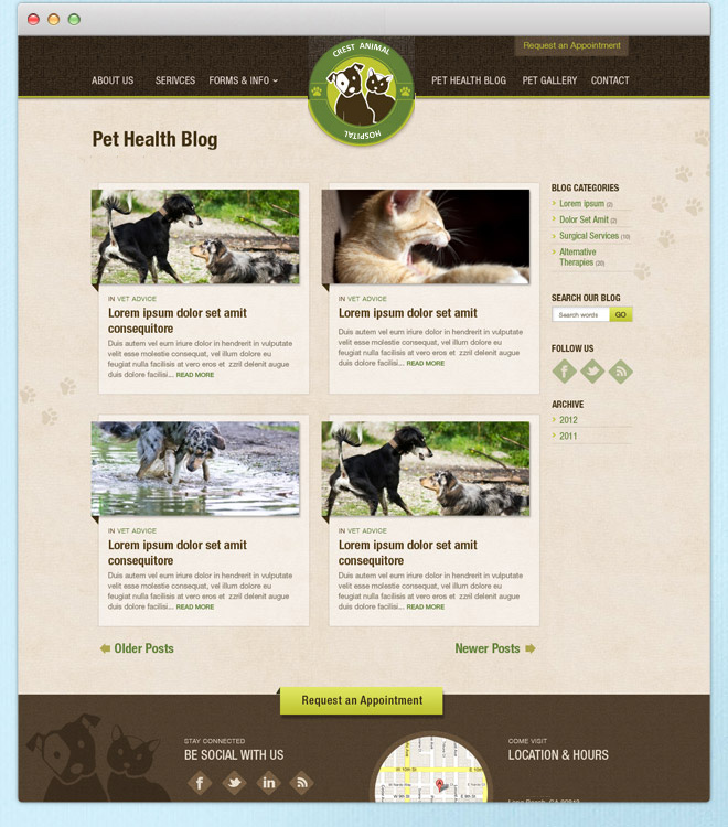Web Design